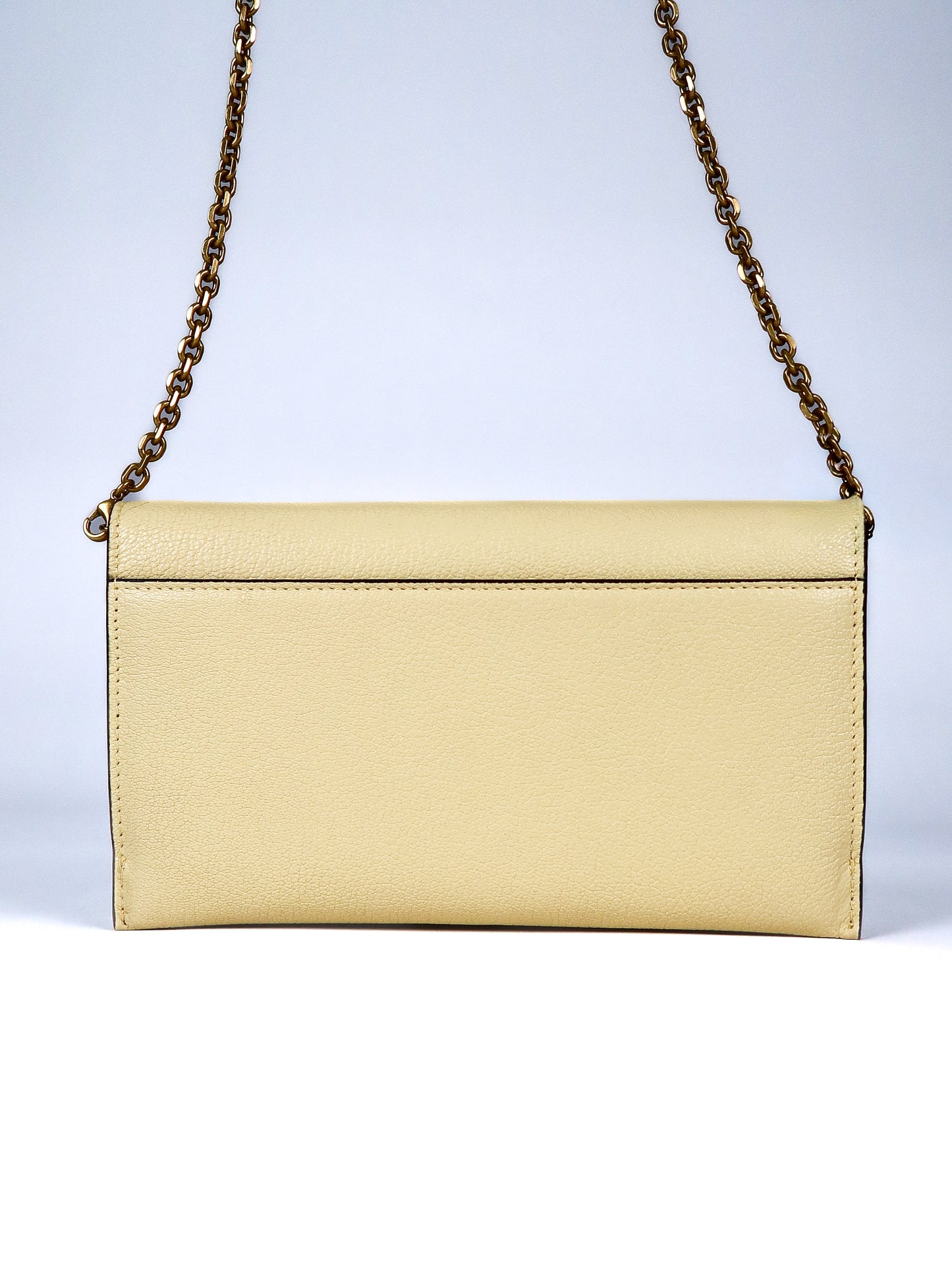 DIOR SMALL SADDLE ON CHAIN