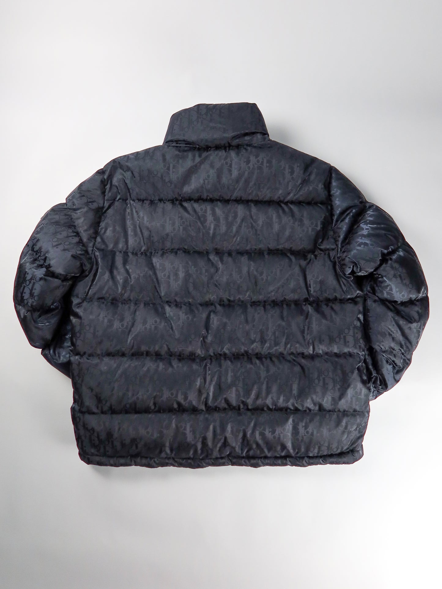 DIOR OBLIQUE DOWN JACKET