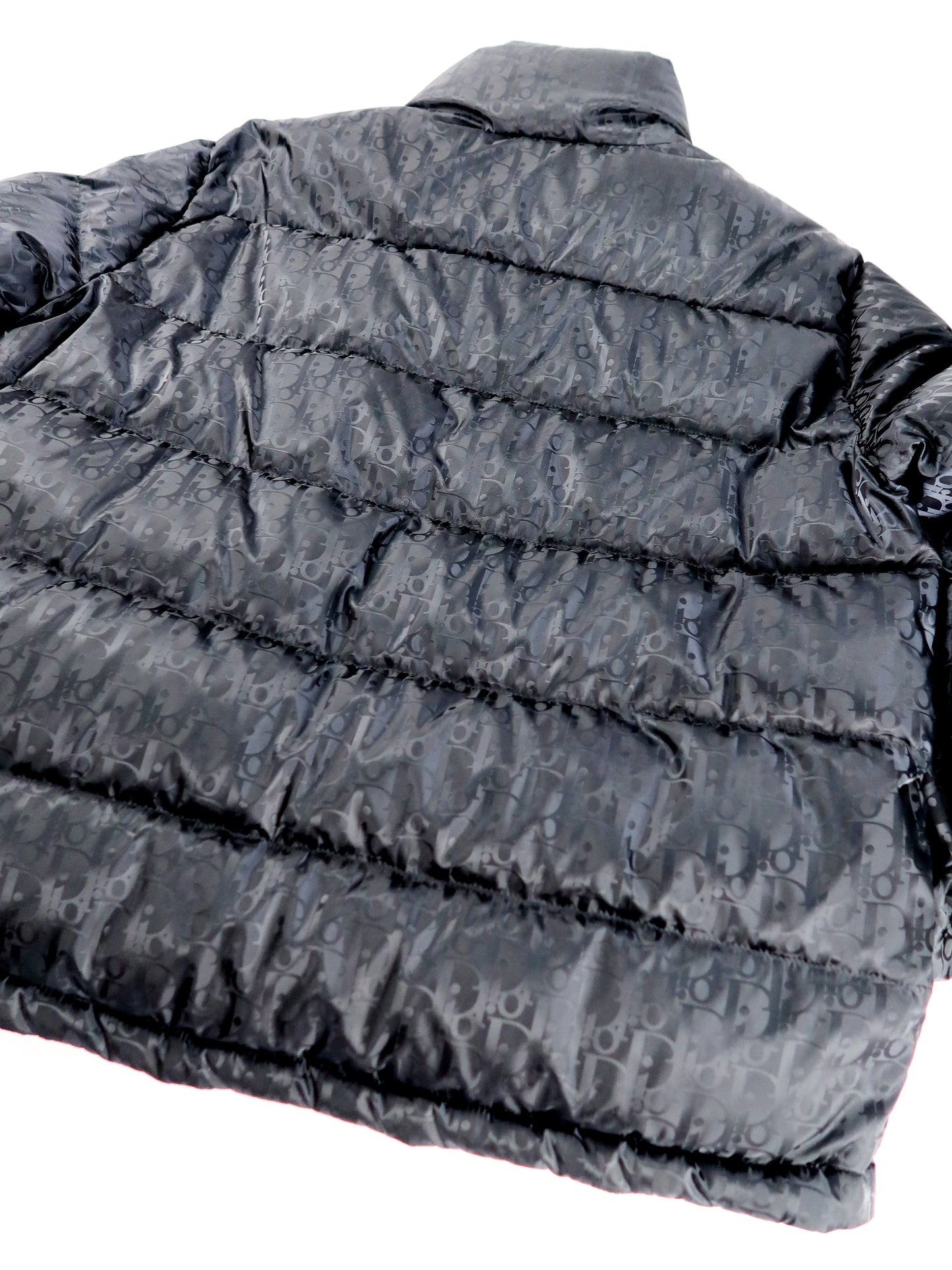 DIOR OBLIQUE DOWN JACKET